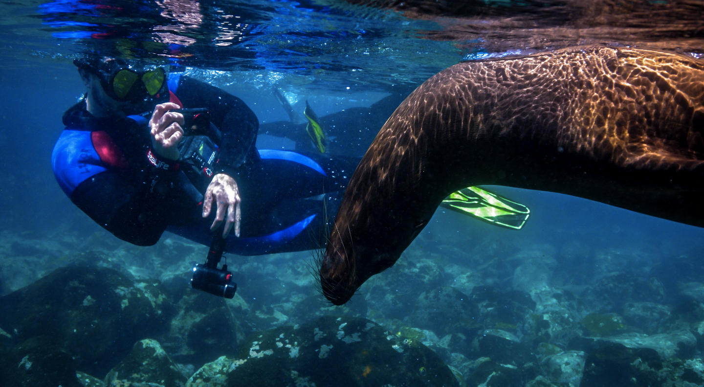 Diving the Galápagos